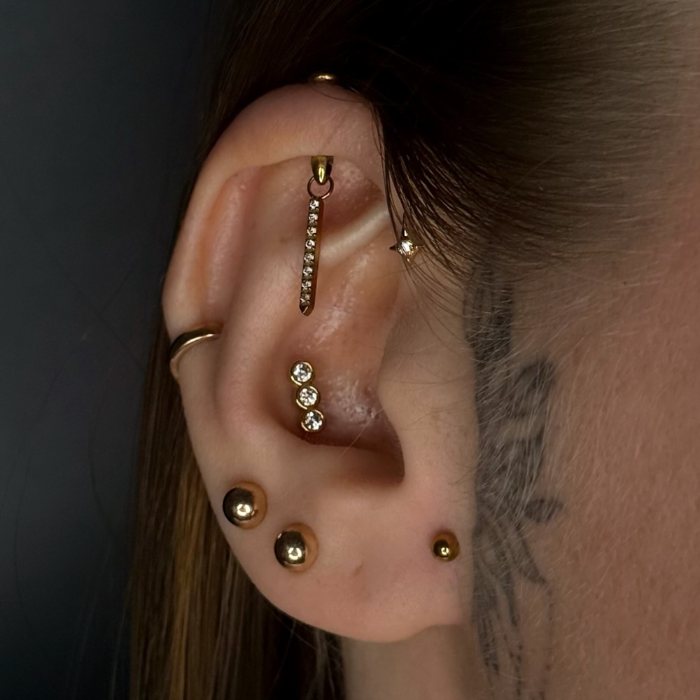 1 Stück G23 Titan Versteckter  – Body Jewelry Vertical Labret Bewertung und Preis