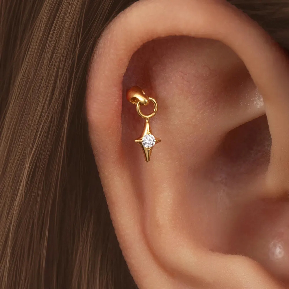 1 Stück G23 Titan Versteckter  – Body Jewelry Vertical Labret Bewertung und Preis