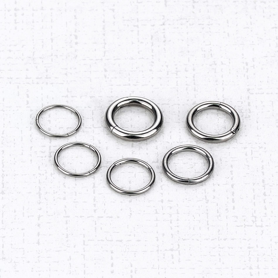 1 Stück G23 Titan Klappsegment – Body Jewelry Septum Bewertung und Preis