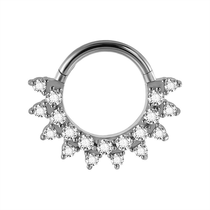 31BB Kristall-Nasen-Ohr-Knorpe – Body Jewelry Septum Bewertung und Preis