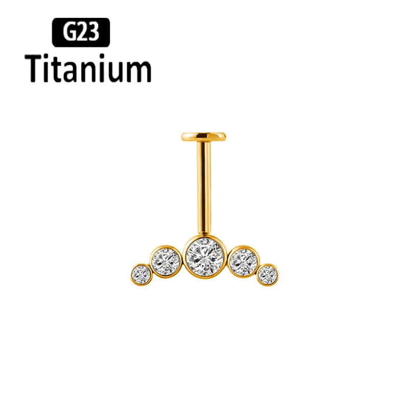 G23 Titan Ohrpiercing mit Inne – Body Jewelry Vertical Labret Bewertung und Preis