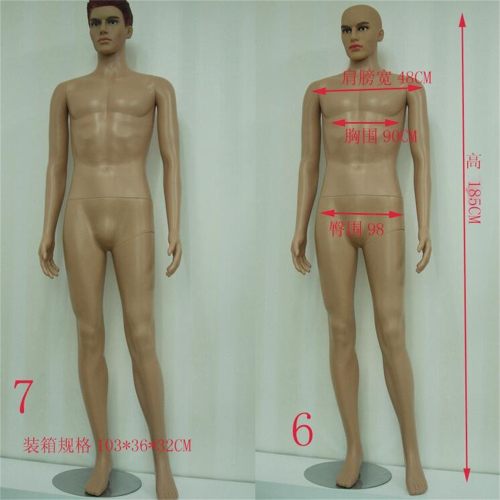 183 cm Vollplastik-Torso-Schau – Body Jewelry Plus Bewertung und Preis