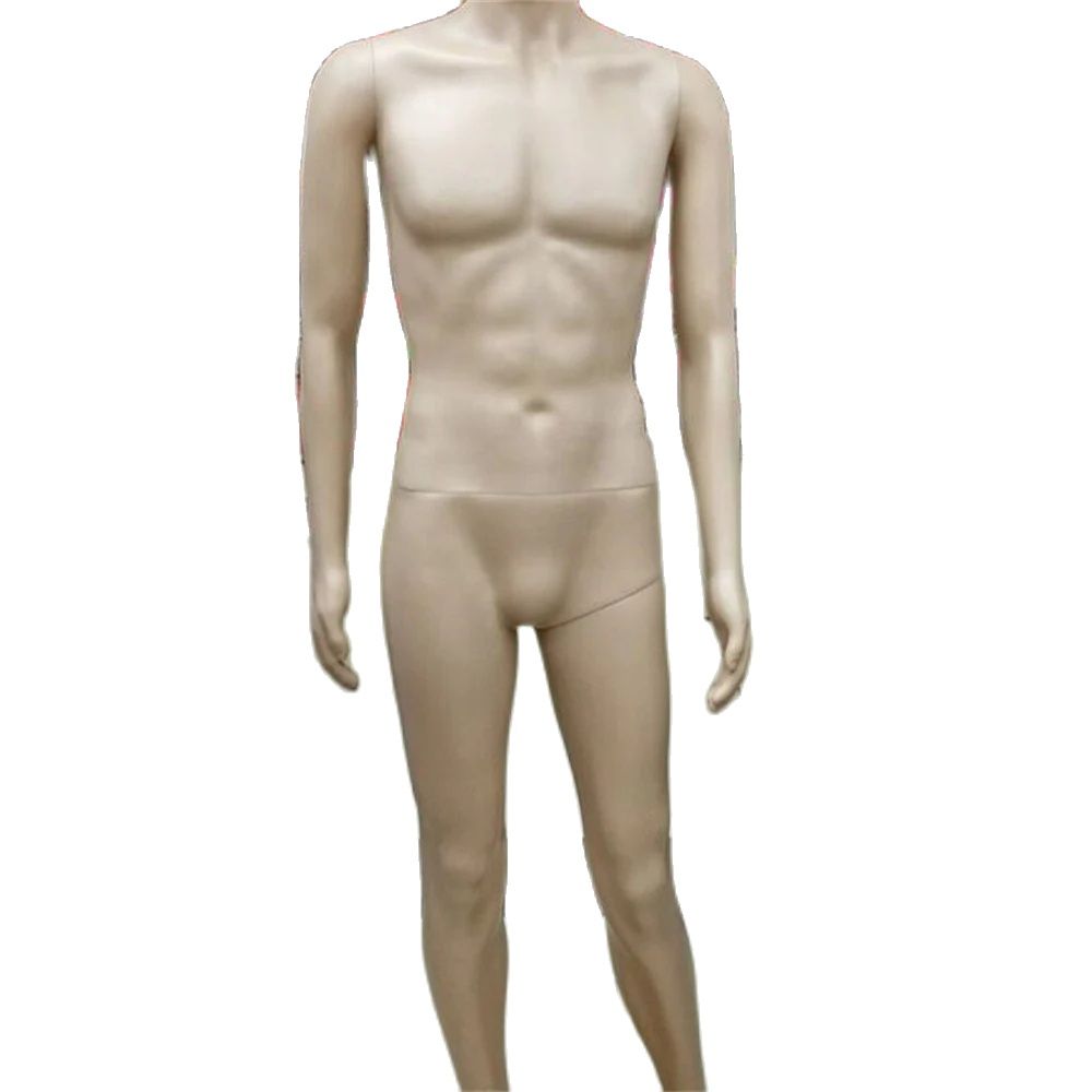 183 cm Vollplastik-Torso-Schau – Body Jewelry Plus Bewertung und Preis
