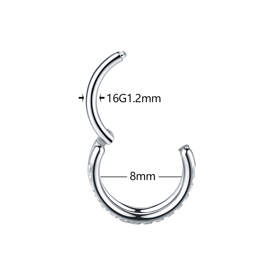 1pc Titan Knorpel Hoop Ohrring – Body Jewelry Septum Bewertung und Preis