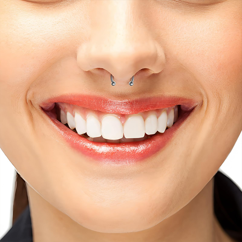 5 Stück/Set Edelstahl 18G Hufe – Body Jewelry Septum Bewertung und Preis